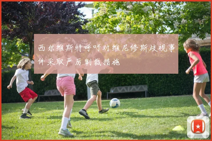 西尔维斯特呼吁对维尼修斯歧视事件采取严厉制裁措施