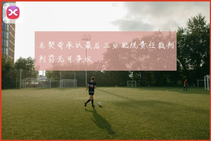 东契奇承认最后三分犯规责任裁判判罚无可争议